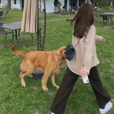 伤心画廊